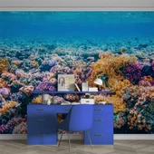 Akvaryum Mercan Manzaralı Duvar Kağıdı thumbnail 4