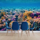 Akvaryum Mercan Manzaralı Duvar Kağıdı thumbnail 5