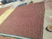 Dut Toplama Filesi - 6x50 M YEŞİL - 2