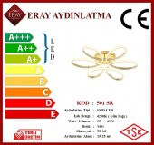 Eray Aydınlatma 501 Sarı Led Avize - 3