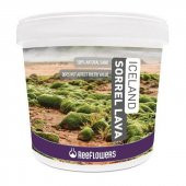 Reeflowers Iceland Sorrel Lava 4-6 mm 15 Kg/ - 1