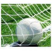 Okare Spor Halı Saha Futbol Kale Filesi 2x4x1m- 4mm Polipren ip - 4