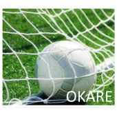 Okare Spor Halı Saha Futbol Kale Filesi 2x3x1m- 4 mm Polyester İp - 2