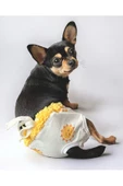 Soft Sun Köpek İç Çamaşırı, Regl Donu, Köpek Sızdırma Kilodu - 1