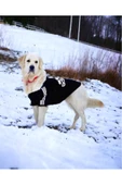 Siyah Adidog 10-45kg Köpek Sweatshirt, Hoodie, Orta Ve Büyük Irklar Için - 6