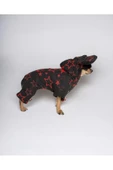Yılbaşı Yıldızlı Köpek Kostümü, Noel Köpek Kıyafeti, Christmas - 3