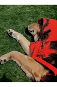 Kırmızı Batik Köpek Sweatshirt, Gerçek 3 İplik 8-45 kg için, Hoodie, Orta ve Büyük Irklar için - 1