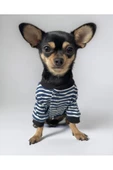 Spe Stripe Blue Köpek Tulumu, Köpek Kıyafeti - 3