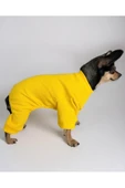 Yellow Polar Köpek Tulumu Köpek Kazağı, Köpek Kıyafeti - 3