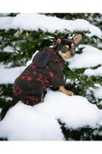 Yılbaşı Yıldızlı Köpek Kostümü, Noel Köpek Kıyafeti, Christmas - 1