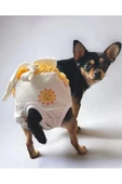 Soft Sun Köpek İç Çamaşırı, Regl Donu, Köpek Sızdırma Kilodu - 2