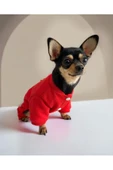 Sweet Bear Köpek Ceketi, Köpek Kazağı, Köpek Kıyafeti - 3