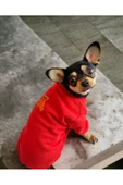 Sweet Bear Köpek Ceketi, Köpek Kazağı, Köpek Kıyafeti - 1