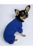 Blue Polar Köpek Tulumu Köpek Kazağı, Köpek Kıyafeti - 1