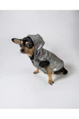 Grey Shine İçi Peluş Köpek Ceketi, Parlak Köpek Montu - 3