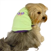 Sweet Butterfly Oval Yaka Tişört Köpek Kıyafeti Köpek Elbisesi - 2