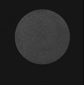 Staleks Disk Zımpara 240 Grit (Küçük) - 4