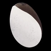 Staleks Disk Zımpara 180 Grit (Medium) thumbnail 2