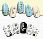 Tırnak Sticker thumbnail 2