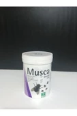 Musca Granül 100gr Kara Sinek Ilacı - 1