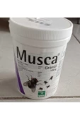 MUSCA - 1
