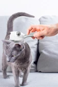 Mbv Nocrıza Cat Pasta 50 gr Kedi Ve Köpek Otomatik Tüy Toplama Tarağı 2 Li Set - 4