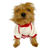 Teresa Girl Sweat Elbise by Kemique Köpek Kazağı - 3