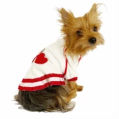 Teresa Girl Sweat Elbise by Kemique Köpek Kazağı - 2