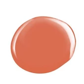 Kinetics Shield Gel Polish Kalıcı Oje Ginger Hint 541 15ml thumbnail 3