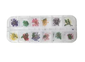 Nail Art Manikür Tırnak Süsleme Yapraklı Kuru Çiçek 12li Set - 1