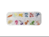 Nail Art Manikür Tırnak Süsleme Kuru Çiçek 12li Set - 1