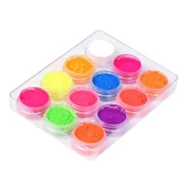 Nail Art Floresan Tırnak Toz Pigment 12li Set Neon Aplikatörlü thumbnail 2