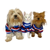 Tommy Colours Oval Yaka Tişört Köpek Kıyafeti Köpek Elbisesi - 1