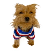 Tommy Colours Oval Yaka Tişört Köpek Kıyafeti Köpek Elbisesi - 5