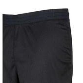 Lafuma Pajero WINDSTOPPER  Erkek Pantolonu Lfv7839 thumbnail 2