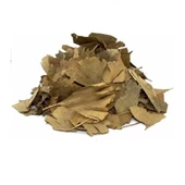 Ginkgo Biloba Yaprağı 100 gr (Mabed Ağacı) Ginko, Derya Eren - 2