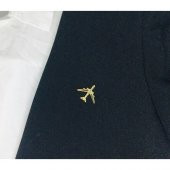 Merit Collection Uçak Yaka Rozeti ( Boeıng ) - 2