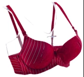 ZEITGEIST Balenli Dolgulu Push Up B Cup Destekli Dantelli Kırmızı Çizgi Desenli Sütyen No:43 - 2