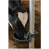 Pik Döküm Dilli Hayvan Suluğu 2,5 Litre-2 Adet thumbnail 4