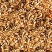 Sera Raffy I Gammarus 50 gr (Açık) Kilitli Poşette Kurutulmuş Karides Skt:10/2027 - 1