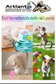Beyaz Pinpon Topu 20 Adet Masa Tenis Topu Evcil Hayvan Kedi Oyuncağı Okul Sınıf Etkinlik Deney Topu - 6