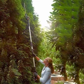 WORX WA0308 WG349E ile Uyumlu 45CM Profesyonel Açı Ayarlı Çit Budama Aparatı, Başlığı - 5