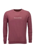 Erkek Spor Mevsimlik Sıfır Yaka Sweatshirt BGL-ST03933 thumbnail 7