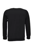 Erkek Spor Mevsimlik Sıfır Yaka Sweatshirt BGL-ST03934 - 6