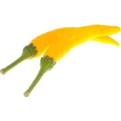 Sarı Şili Biber Tohumu Ekim Seti 10 Adet Tohum + Saksı+Toprak thumbnail 2