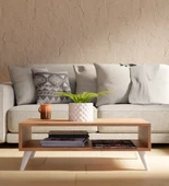 Modern Orta Sehpa - 2