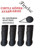 TİNEKE Cırtlı Köpek Ayakkabısı SİYAH   M  BEDEN - 1