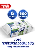 Solo Yüzey Temizleyici Havlu Okaliptus Cam Esintisi 100'lü 6 Adet - 1