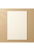 Japon Bristol Kağıt 315 Gr 35x50 Cm 100 Adet - 4