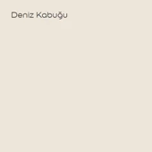 Marshall Sil-Pak Deniz Kabuğu 7,5lt (10 Kg) - 2